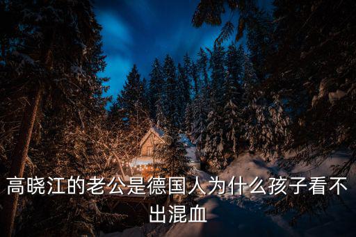高曉江的老公是德國人為什么孩子看不出混血