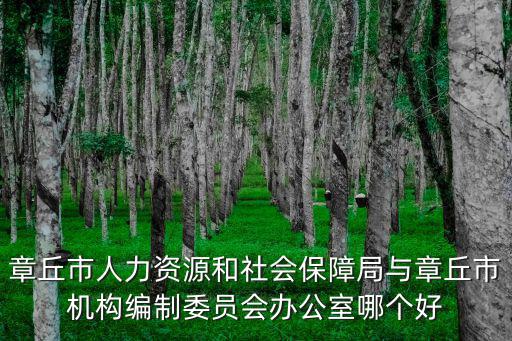 章丘市人力資源和社會保障局與章丘市機(jī)構(gòu)編制委員會辦公室哪個好