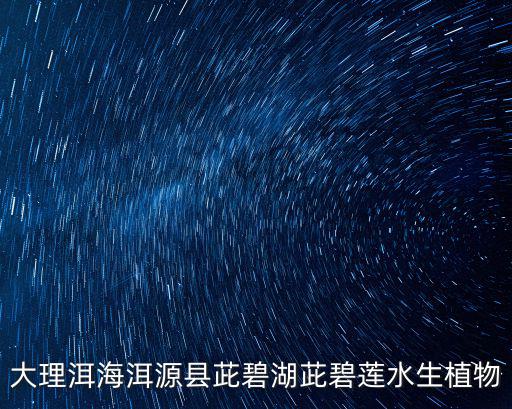 大理洱海洱源縣茈碧湖茈碧蓮水生植物