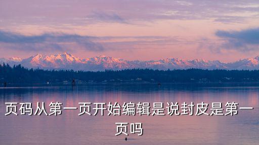 頁碼從第一頁開始編輯是說封皮是第一頁嗎