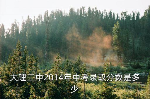 大理二中，大理二中2014年中考錄取分數是多少