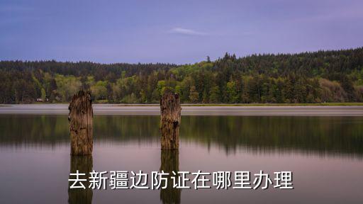 去新疆邊防證在哪里辦理