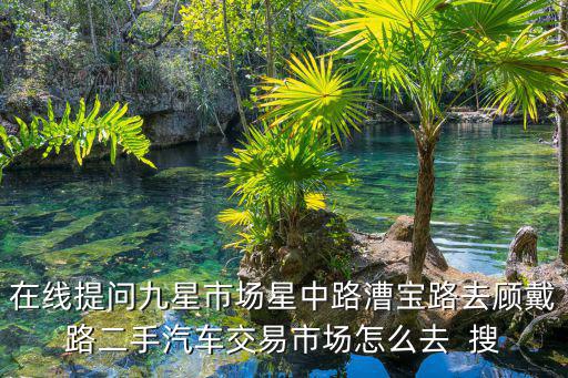 在線提問九星市場星中路漕寶路去顧戴路二手汽車交易市場怎么去  搜
