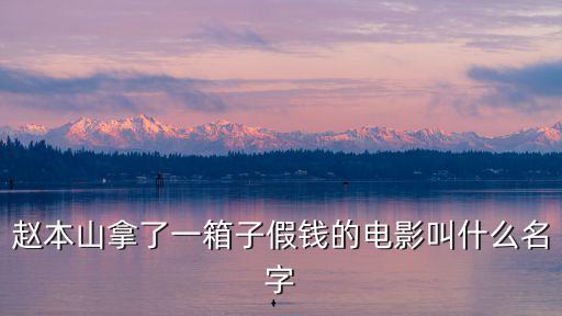 趙本山拿了一箱子假錢的電影叫什么名字