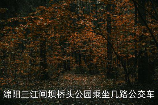 橋頭公園，橋頭公園的介紹