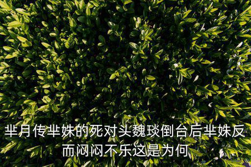羋月傳羋姝的死對頭魏琰倒臺后羋姝反而悶悶不樂這是為何