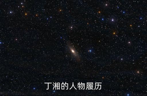 丁湘的人物履歷