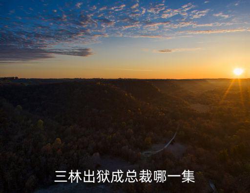 三林出獄成總裁哪一集