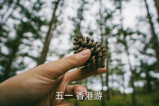 五一 香港游