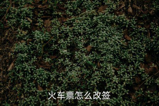 火車票怎么改簽