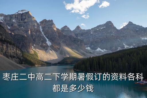 棗莊二中高二下學(xué)期暑假訂的資料各科都是多少錢