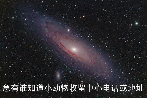 動物救助中心電話，請問動物救護站的電話號碼是多少呀我家的韓母雞生病了