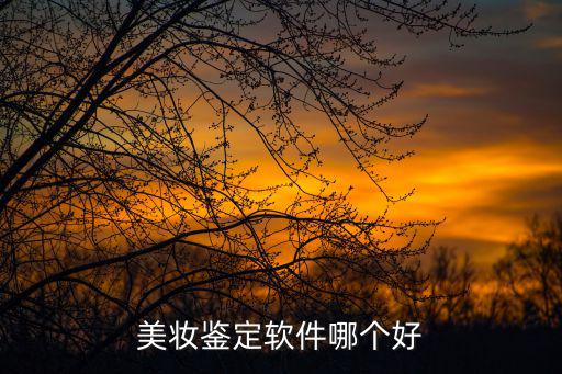 美妝鑒定軟件哪個好