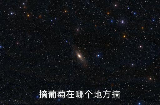 摘葡萄在哪個地方摘