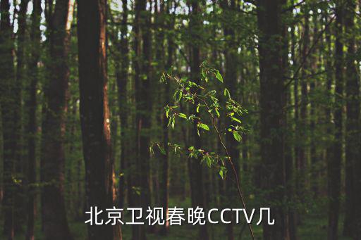 北京衛視春晚，北京衛視春晚小沈陽表演小品里面兩人和唱的那手歌叫什么