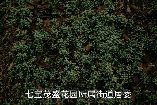 七寶茂盛花園所屬街道居委