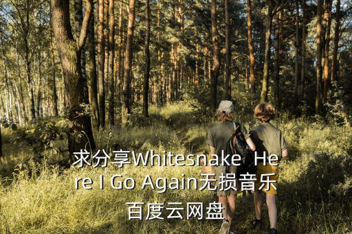 求分享Whitesnake  Here I Go Again無損音樂百度云網盤