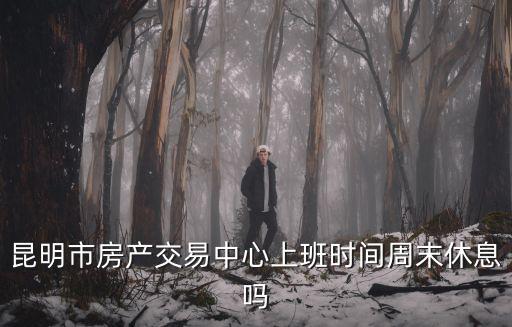 房產中心，昆明市房產交易中心上班時間周末休息嗎