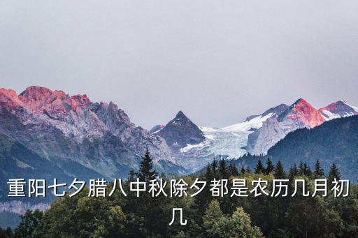 重陽七夕臘八中秋除夕都是農歷幾月初幾