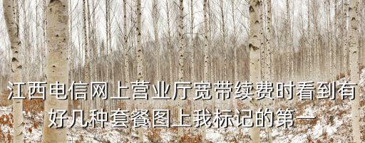 江西電信營業(yè)廳，江西電信網(wǎng)上營業(yè)廳寬帶續(xù)費時看到有好幾種套餐圖上我標記的第一