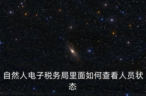 自然人電子稅務局里面如何查看人員狀態