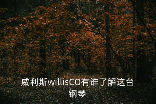 威利斯willisCO有誰了解這臺(tái)鋼琴
