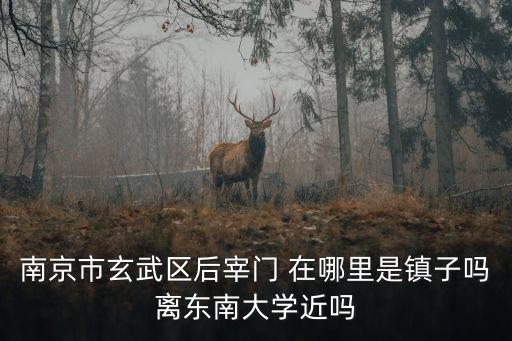 南京市玄武區后宰門 在哪里是鎮子嗎離東南大學近嗎