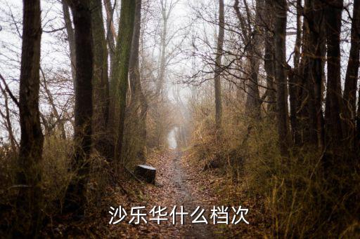 沙樂華什么檔次