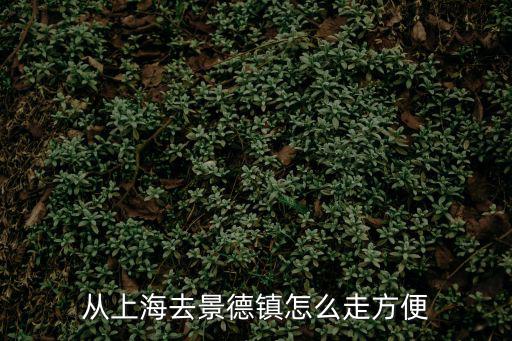 上海到景德鎮，從上海到景德鎮坐汽車要多少時間