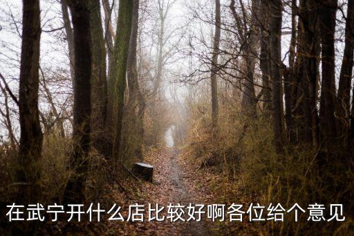 武寧店，在武寧開什么店比較好啊各位給個意見