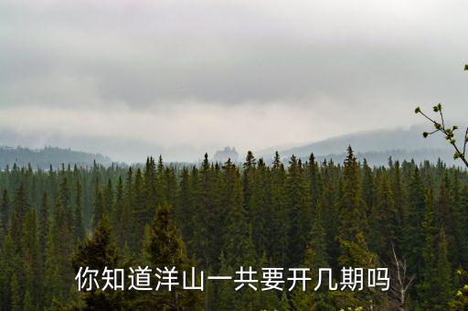 你知道洋山一共要開幾期嗎
