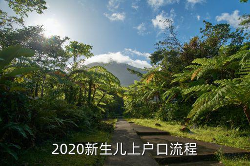 2020新生兒上戶口流程