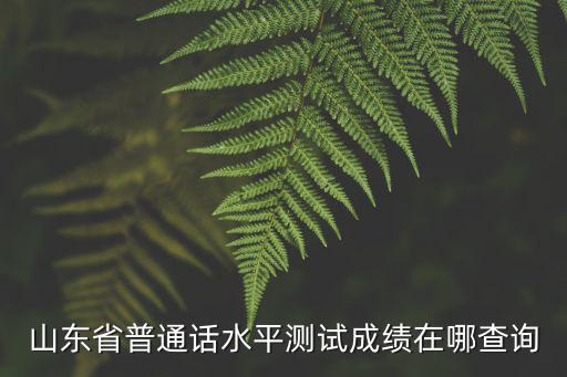 山東省普通話水平測試成績在哪查詢