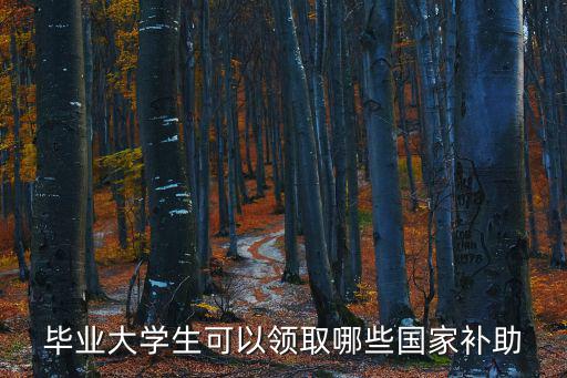畢業大學生可以領取哪些國家補助