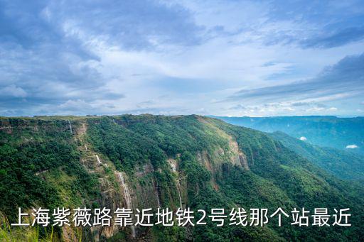紫薇路，長沙八一橋和馬王堆紫薇路在哪從白沙路口到那做什么車可以到