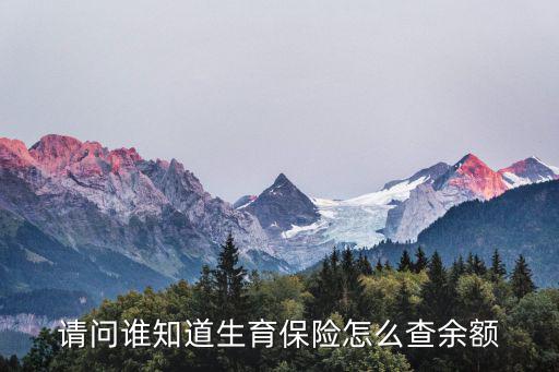 請問誰知道生育保險怎么查余額