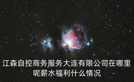 江森自控商務服務大連有限公司在哪里呢薪水福利什么情況