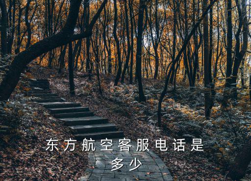 東 方 航 空 客 服 電 話 是 多 少