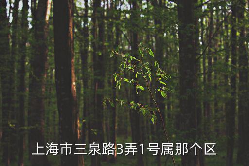 上海市三泉路3弄1號屬那個區