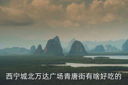 西寧城北萬達廣場青唐街有啥好吃的