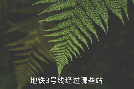 地鐵3號(hào)線，地鐵3號(hào)線經(jīng)過哪些站