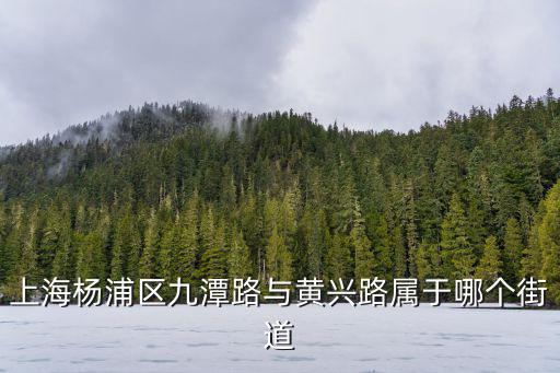 大橋街道，上海市楊浦區大橋街道杭州路492弄1611號這個地方是公司還是小區