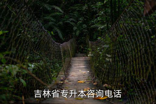 吉林省專升本咨詢電話