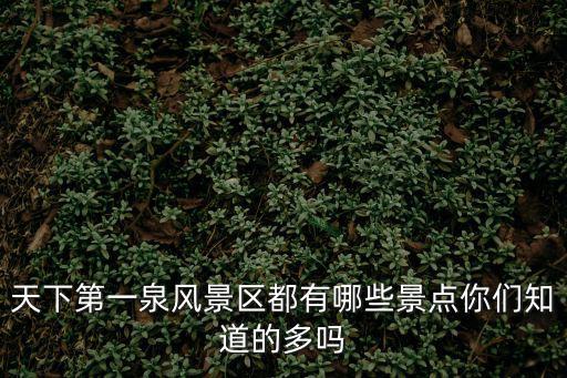天下第一泉風景區都有哪些景點你們知道的多嗎