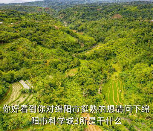 綿陽市教科所，綿陽市的南山加氣站附近有一個研究所請問這個研究所的名稱  搜