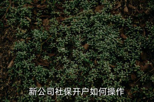 公司社保開戶流程，新公司社保開戶如何操作