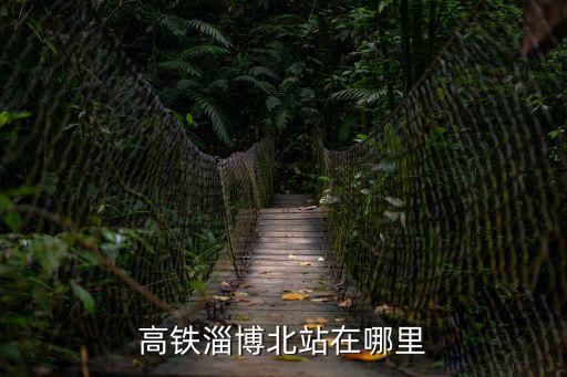 高鐵淄博北站在哪里