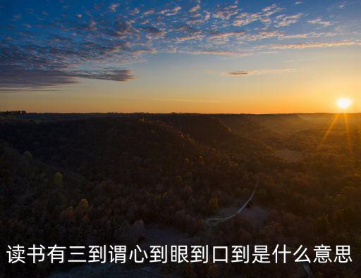 口至，讀書有三到謂心到眼到口到是什么意思