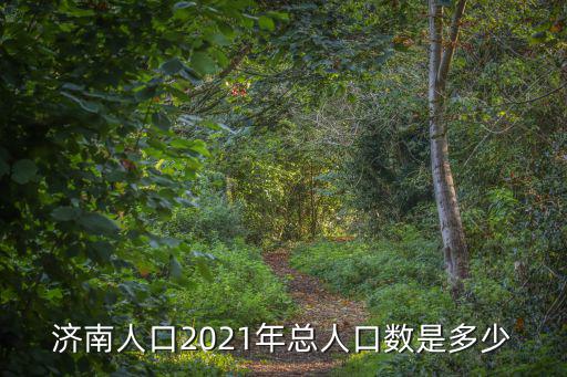 濟南人口2021年總人口數是多少