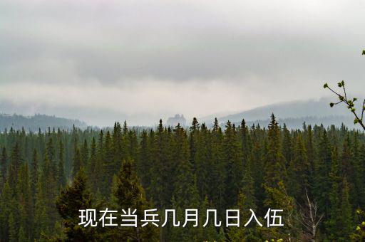 新兵入伍時間，現(xiàn)在當(dāng)兵幾月幾日入伍